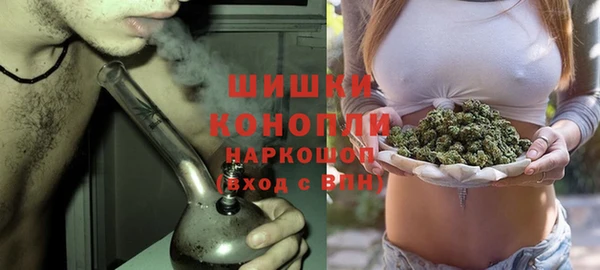 ГАЛЛЮЦИНОГЕННЫЕ ГРИБЫ Алзамай