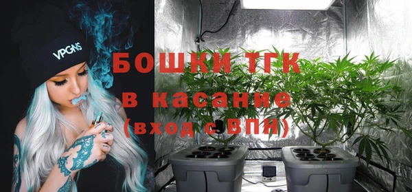 ГАЛЛЮЦИНОГЕННЫЕ ГРИБЫ Алзамай