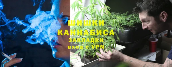 ГАЛЛЮЦИНОГЕННЫЕ ГРИБЫ Алзамай
