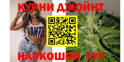 PSILOCYBIN Бийск